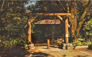 Mill Valley California 1960s Postcard Gateway  Muir Woods National Monument