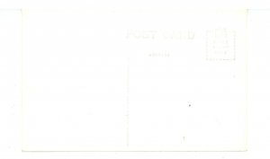 MI - Ludington. Sand Dunes   RPPC