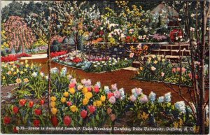 Postcard GARDEN SCENE Durham North Carolina NC AM2305