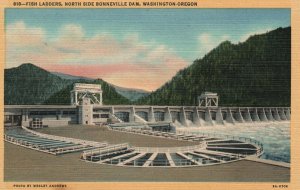 Vintage Postcard 1930's Fish Ladders North Side Bonneville Dam Washington Oregon