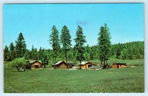 BIG FORK Montana MT ~ Home of EVA GATES HOMEMADE PRESERVES c1960s  Postcard