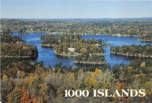 US9 USA NY 1000 islands vacation area 1999 pilot Billy Mitchell stamp