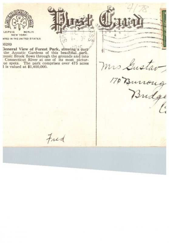 Massachusetts  Springfield  General View of Forest Park