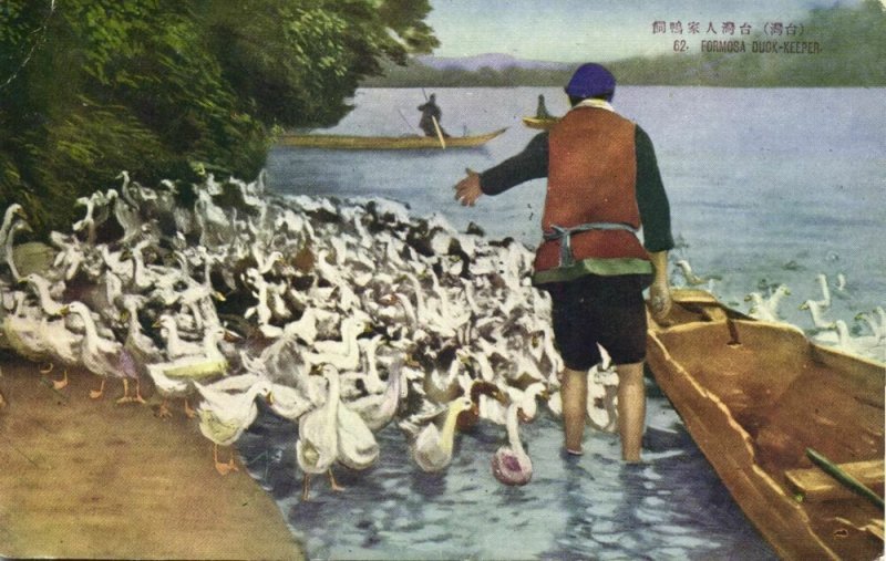 formosa taiwan, Native Duck Keeper at Work (1930s) Postcard