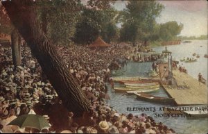 Sioux City IA Iowa Riverside Park Elephants c1900-20s Vintage Postcard