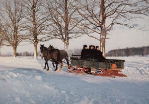 Ontario Mennosite Family on Way Home in Elmira Snow Plough Canadian Postcard