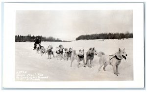 Alaska Mail Team 1928 Edwards Dog Winter Scene Animals RPPC Photo Postcard