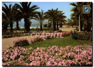 Modern Postcard Cannes Part of flower gardens to the Croisette