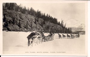 RPPC CANADA, Yukon Territory, Whitehorse, Dog Sled Teams, Dogs, 1930 Winter View