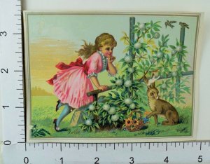 Easter Card C.H Ripper Choice Fruit & Confectionery Girl Brown Rabbit Garden #E