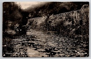 RPPC Lilypads Happy Valley Port Elizabeth South Africa To Canton PA Postcard K22