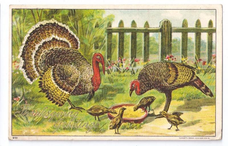 Thanksgiving Turkey Family Chicks Poults Gold Embossed Julius Bien Postcard