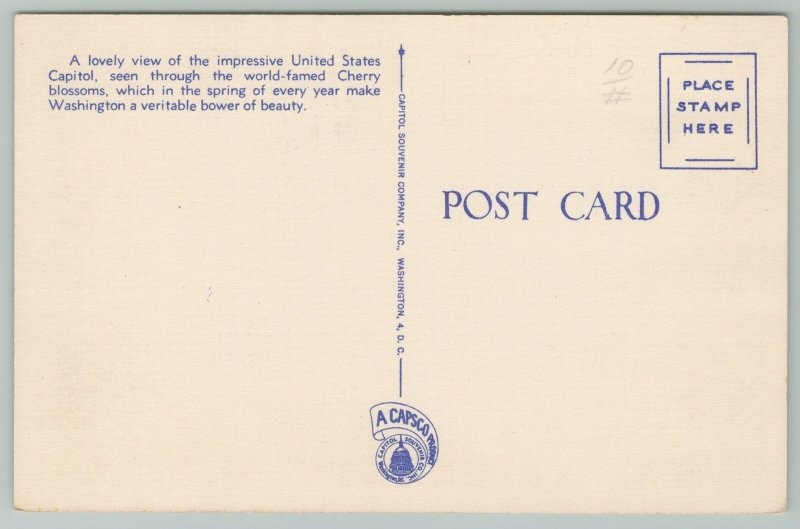 Washington DC~US Capitol Through Cherry Blossoms~1940s Linen Postcard