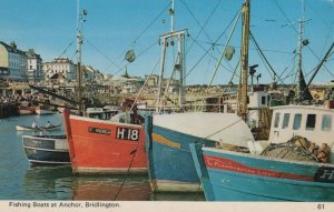 Yorkshire Postcard - Fishing Boats at Anchor, Bridlington    RS23465