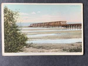 Rio Grande Bridge Near Albuquerque NM Litho Postcard H1314081021