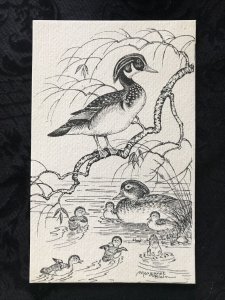 Vintage Wood Ducks Wildlife Birds Postcard by Margaret Blair  
