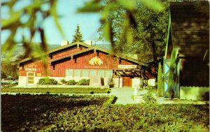 Asti CA Italian Swiss Colony Winery Wine Tasting Room UNP Vtg Chrome Postcard