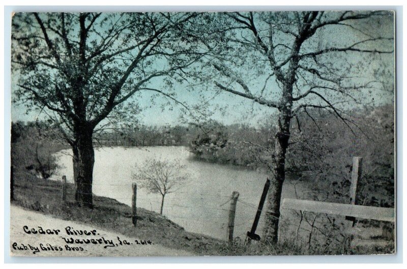 c1909 Cedar River Trees Exterior View Waverly Iowa IA Vintage Antique Postcard