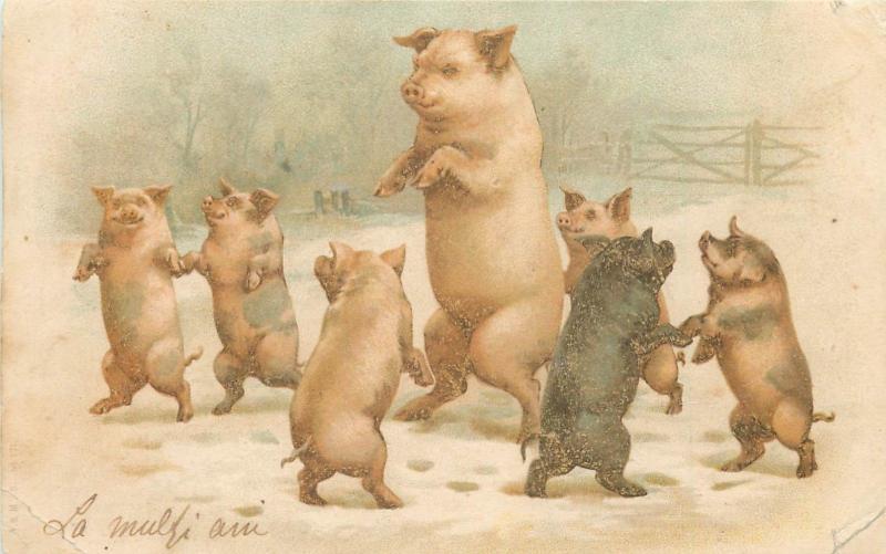 Humanized pigs 1900s litho