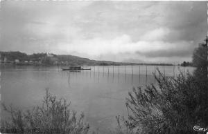 BF30069 st martin de la place m et l bords de loire france