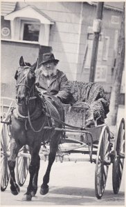 Old Amish Man With Horse and Buggy