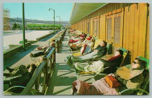 Grossinger New York~Outdoor Sun Bathing~Vintage Postcard