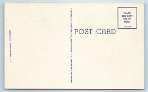 RAY WALTERS COMIC Linen Postcard  Why Should I Bother About Rent? c1930s