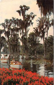 Sightseeing Boats in Cypress Gardens FL