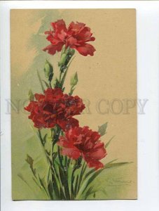 3051801 CARNATIONS by C. KLEIN vintage PFB Publ. pc