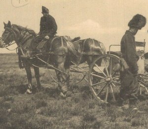 Military Belgian Army Cavallry Hitched Machine Gun World War 1 Postcard 07.67