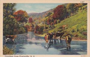 New York Greetings From Plattsville 1940 Curteich