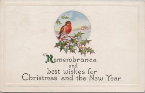 Holiday~Christmas-New Year~Bird on Holly Branch~Winter~Vintage Postcard