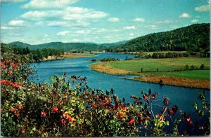 Vermont - Route 5 Scenic Panorama - [VT-137]