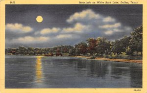 White Rock Lake Moonlight - Dallas, Texas TX  