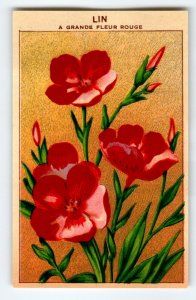 1920's Flower Seed Art Print LIN GRANDE Lithograph Original Vintage Unused