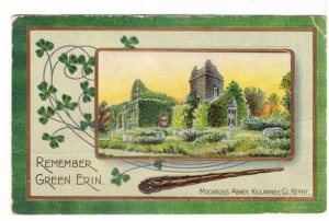 Remember Green Erin, Muckross Abbey, Killarney, Co. Kerry, Antique 1911 Postcard