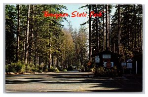 Honeyman State Park Florence Oregon OR UNP Chrome Postcard M20