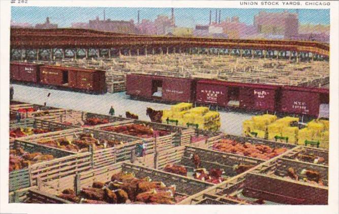 Illinois Chicago The Union Stock Yards