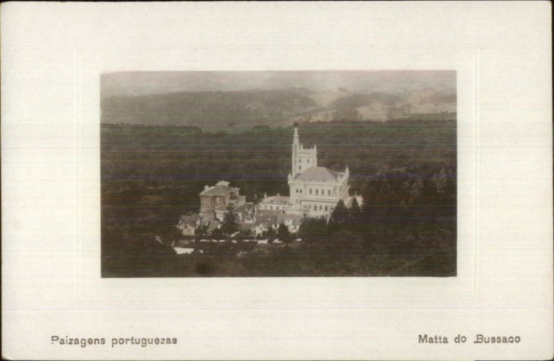 Serra do Bu‡aco Matta do Bussaco Portugal c1910 Real Photo Postcard