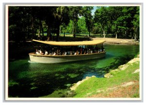 Postcard FL Florida's Silver Springs Continental View Card Jungle Cruise Boat