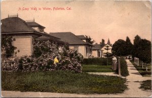 Hand Colored Postcard A Cozy Walk During Winter in Fullerton, California
