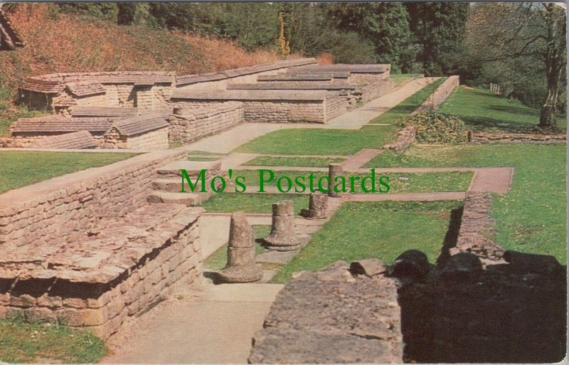 Gloucestershire Postcard - Chedworth Roman Villa, RS32053 