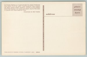 Arizona~Hwy Going Through Ponderosa Pine Forest~Vintage Postcard