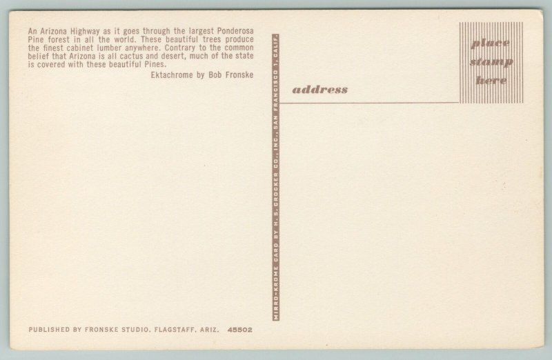 Arizona~Hwy Going Through Ponderosa Pine Forest~Vintage Postcard