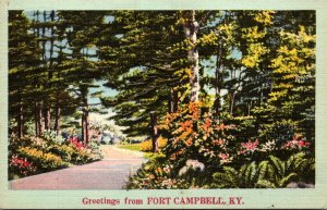 Kentucky Greetings From Fort Campbell 1951