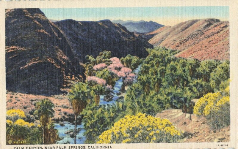 Postcard Palm Canyon California