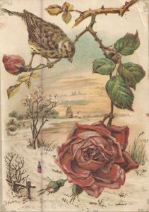 Victorian Trade Card - Lion Coffee - Roses and Bird