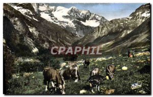 CPM Landscapes Alpestres Pastures high mountain Cow Goat