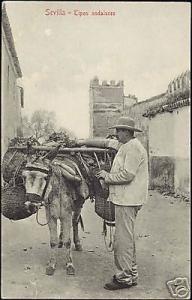 spain, SEVILLA, Tipos Andaluces, Donkey, Costumes 10s