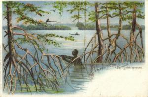 german west africa, CAMEROON, Sanaga River, Mangrove Forest (1899)